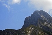 Anello di fiori sui Monti Vindiolo (2056 m) e Vetro (2054 m) da Pian Bracca (1111 m) di Zorzone di Oltre il Colle il 3 giugno 2015 - FOTOGALLERY